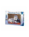 ravensburger Puzzle 200el XXL Szczenięta Husky 128235 - nr 3