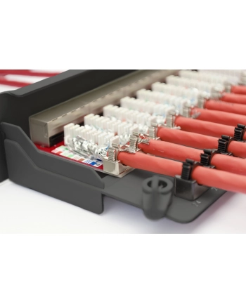 Digitus Patchpanel 19 Cat 6a EA 24 black nr 1