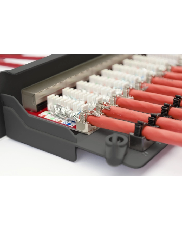 Digitus Patchpanel 19 Cat 6a EA 24 black główny