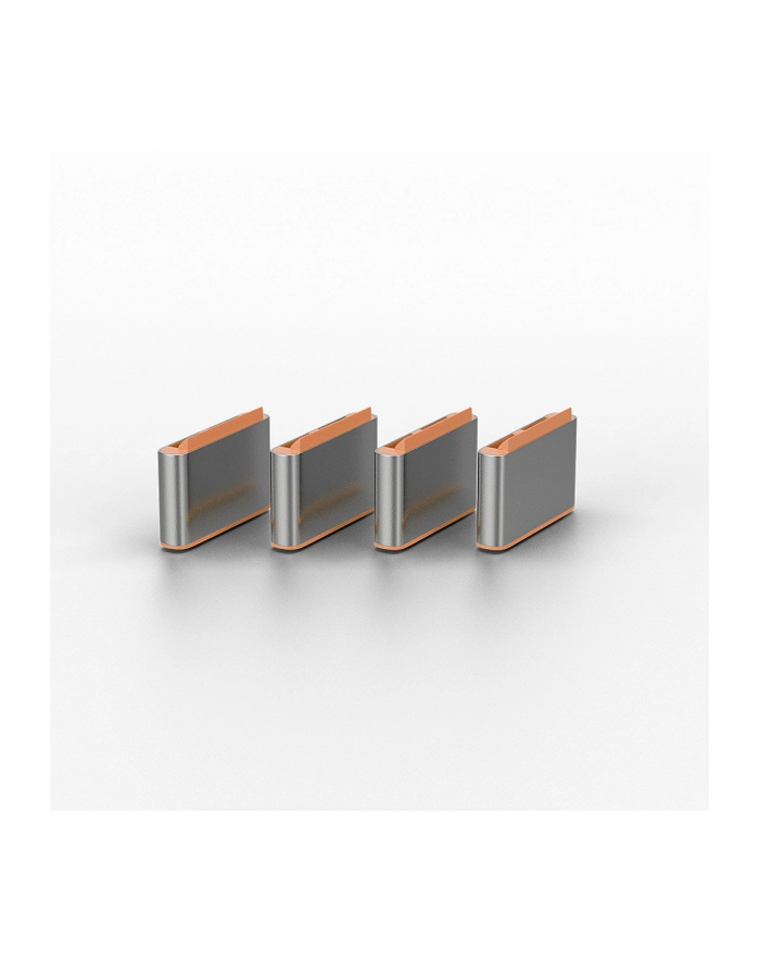 Lindy USB-C Port locks 10pcs główny
