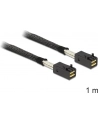 DeLOCK cable SFF-8643 -> SFF-8643 1m - nr 11