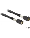 DeLOCK cable SFF-8643 -> SFF-8643 1m - nr 13