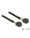 DeLOCK cable SFF-8643 -> SFF-8643 1m - nr 4