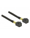 DeLOCK cable SFF-8643 -> SFF-8643 1m - nr 8