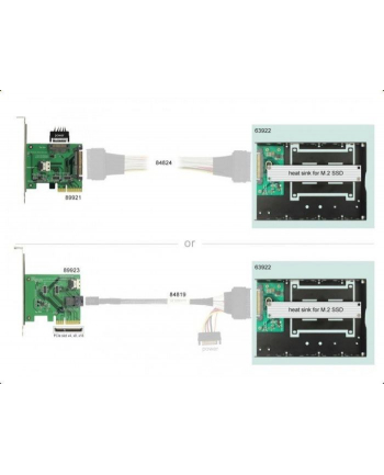 DeLOCK Konv U.2 SFF-8639St> M.2 NVMe 3.5