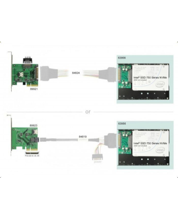 DeLOCK Konv U.2 SFF-8639St> SFF-8639 - with 3.5 frame