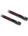 DeLOCK cable SFF-8087 -> SFF-8087 1m - nr 1