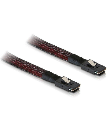 DeLOCK cable SFF-8087 -> SFF-8087 1m