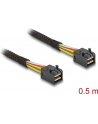 DeLOCK cable SFF-8643 -> SFF-8643 0,5m - nr 14