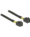 DeLOCK cable SFF-8643 -> SFF-8643 1m - nr 6