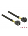 DeLOCK cable SFF-8643 -> SFF-8643 1m - nr 10