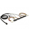 DeLOCK cable SFF-8643 -> 4x SAS 1m - nr 2