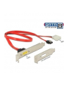 DeLOCK slot cup SATA + Molex-> SATA- 7P socket + Molex 2P to 8P - nr 1