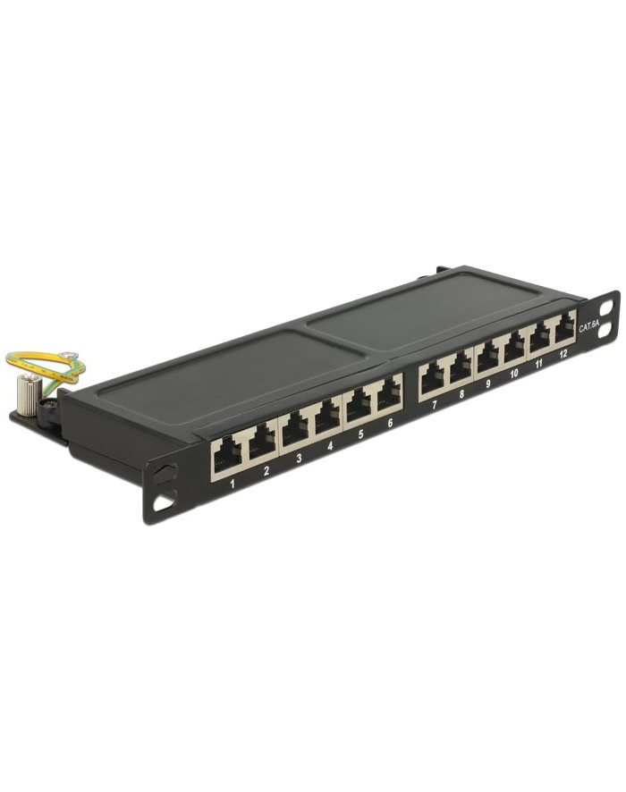 DeLOCK 10 Patchpanel 12P Cat.6A 0,5HE black główny