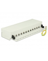 DeLOCK Patchpanel 12 Port Cat.6 gray - Network Desktop - nr 6