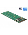 DeLOCK U.2 SFF-8654 o. SATA Kon.- 1x M.2 - nr 11
